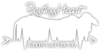 Restless Heart Klein Cattle Company Banner logo